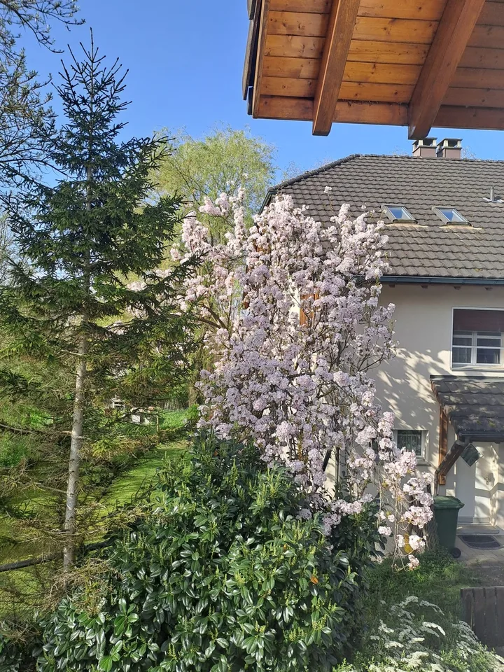 1 MitbewohnerIn gesucht für 2 unbewohnte Zimmer