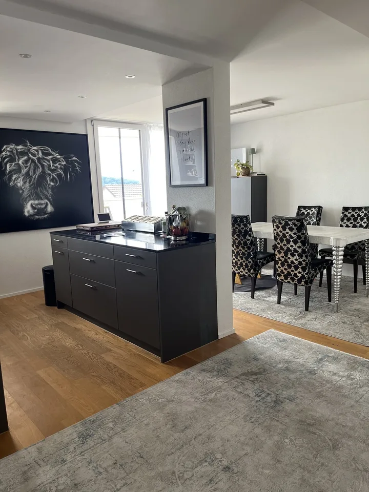 Terrassenwohnung 4,5 mit Ausblick neben Frankenthal Zürich mit 2 Terrassen von 50 und 24 Metern!