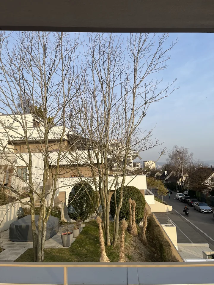 Terrassenwohnung 4,5 mit Ausblick neben Frankenthal Zürich mit 2 Terrassen von 50 und 24 Metern!