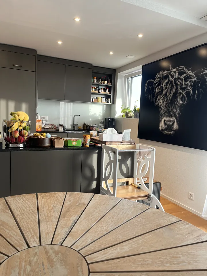 Terrassenwohnung 4,5 mit Ausblick neben Frankenthal Zürich mit 2 Terrassen von 50 und 24 Metern!