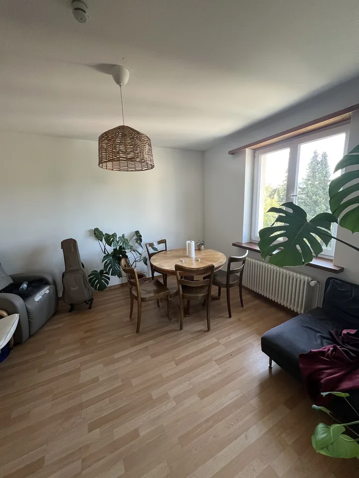 WG mit Garten in Winterthur Mitbewohner:innen gesucht