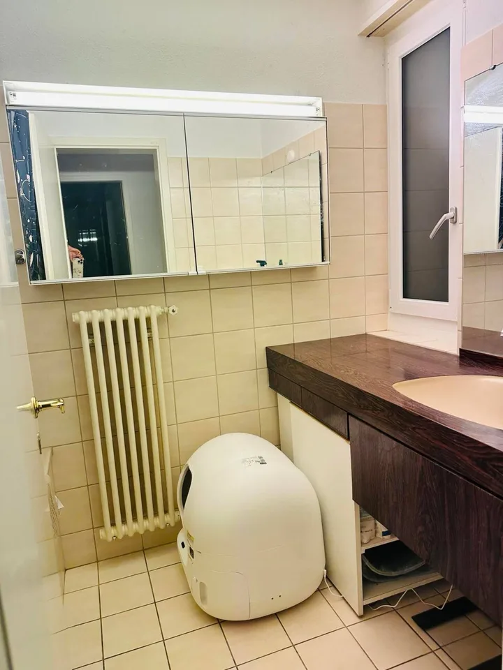 Zimmer in einer Wohngemeinschaft in Zürich