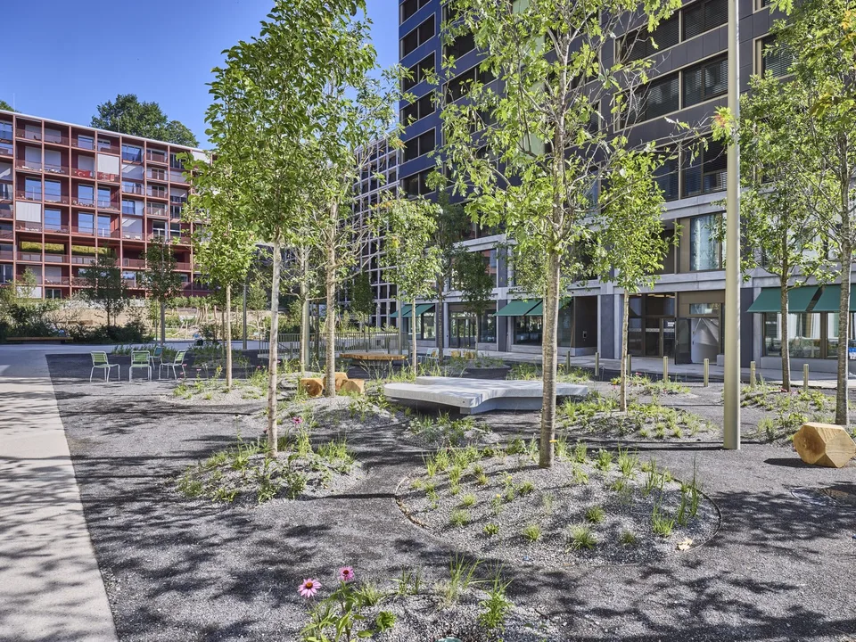 Ihr Standort im neuem Quartier «Eichhof West» – Foto 4 von 5