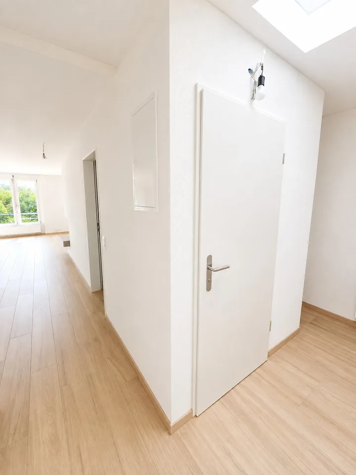 KOMPLETT RENOVIERTE 3.5-Zimmer-Wohnung / completely renovated 3.5 app.