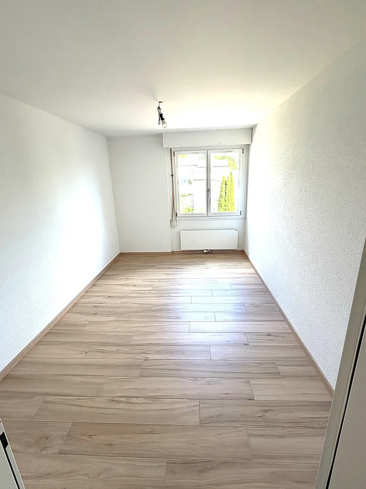 KOMPLETT RENOVIERTE 3.5-Zimmer-Wohnung / completely renovated 3.5 app.