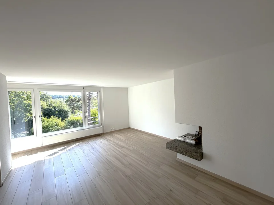 KOMPLETT RENOVIERTE 3.5-Zimmer-Wohnung / completely renovated 3.5 app.