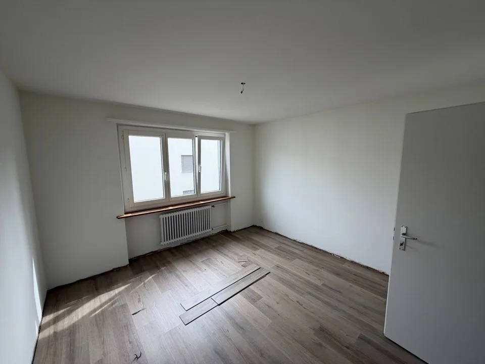 Freshly renovated, quiet and sunny location with balcony