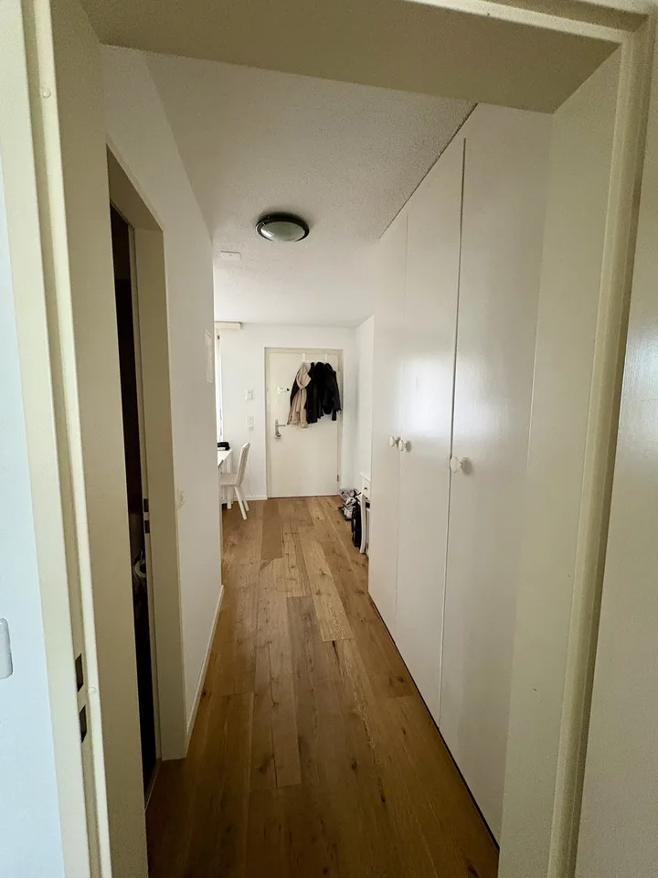Moderne 1.5-Zimmer-Wohnung in bester Lage in Bassersdorf (ZH)
