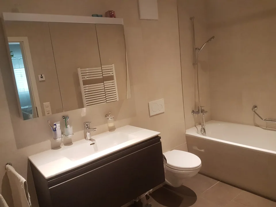 3.5-Zimmer-Wohnung mit grossem Wohnbereich, 2 Nasszellen und Balkon