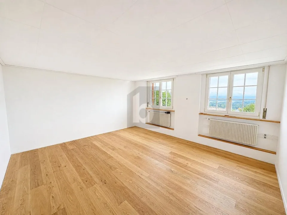 7.5 Zimmer Einfamilienhaus, 4524 Günsberg