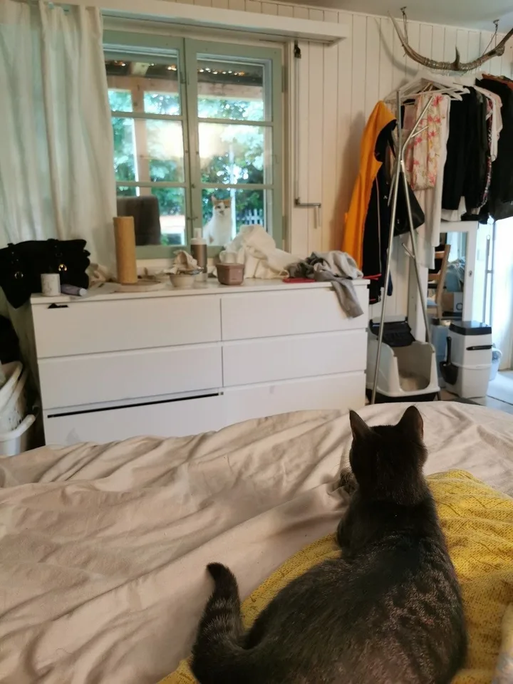 Geräumiges Zimmer in 3er WG zu vermieten