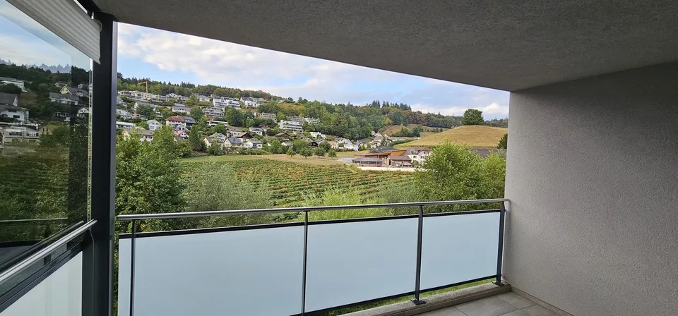 Grosszügige 4.5-Zimmer-Wohnung mit gedecktem Balkon und herrlicher Aussicht in Zofingen