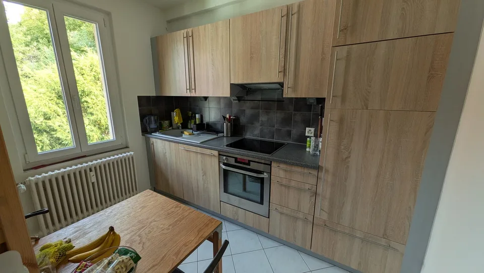 3 Zimmer Altbau Wohnung mit schöner Aussicht