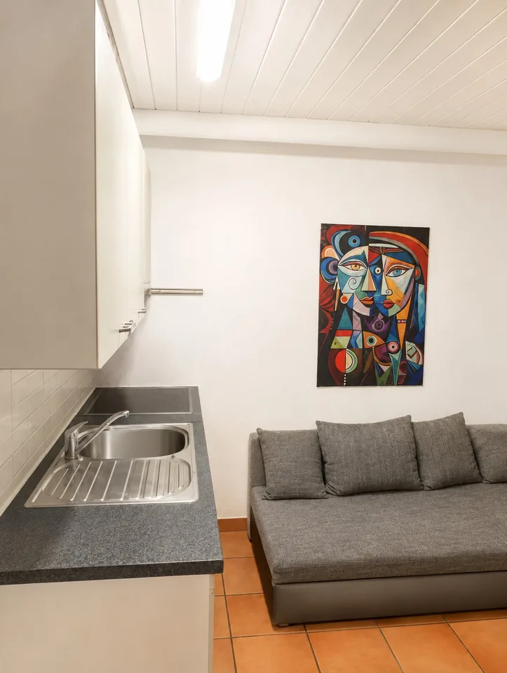 Quiet 1.5-Room Apartment with Internet and Parking