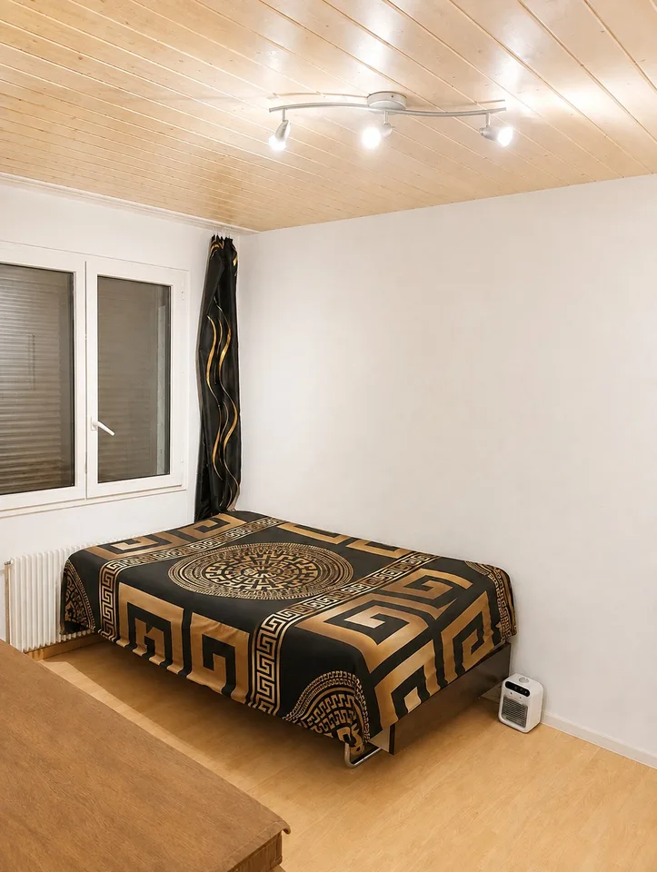 Quiet 1.5-Room Apartment with Internet and Parking