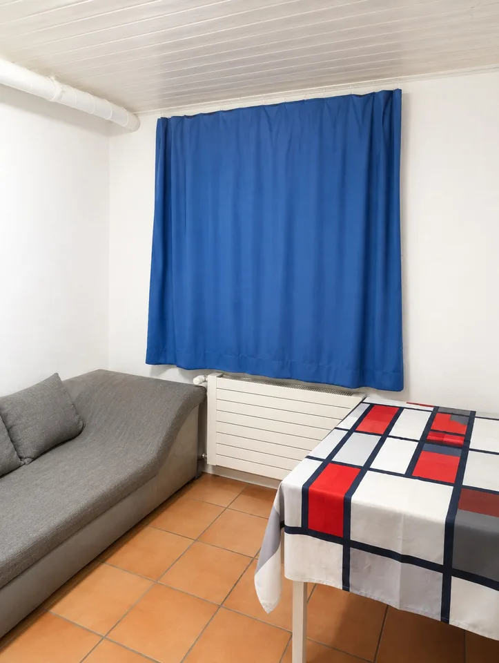 Quiet 1.5-Room Apartment with Internet and Parking