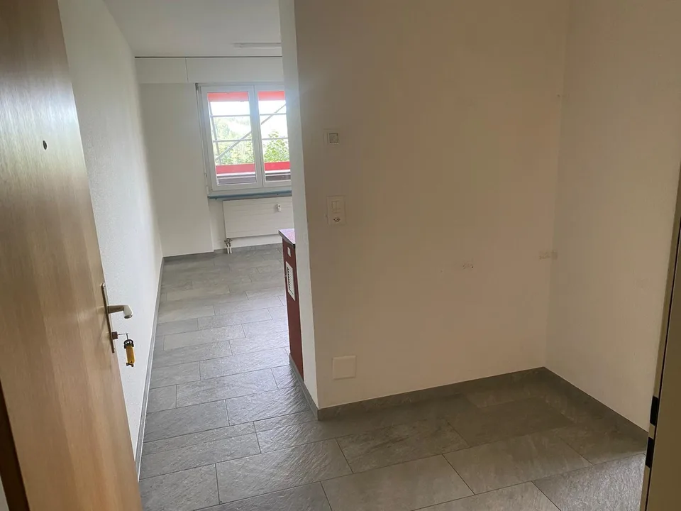 Charming 2-room apartment with balcony and fireplace