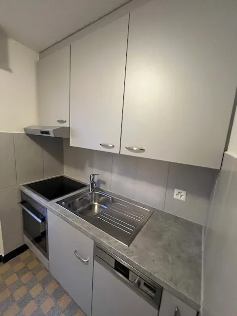 Gemütliche 1-Zimmer-Wohnung mit Balkon in Winterthur