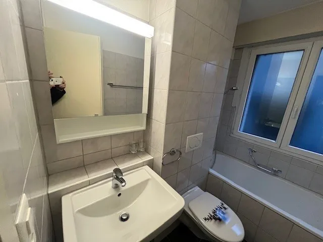 Gemütliche 1-Zimmer-Wohnung mit Balkon in Winterthur