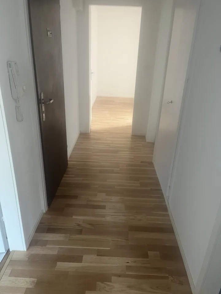 Gemütliche 1-Zimmer-Wohnung mit Balkon in Winterthur