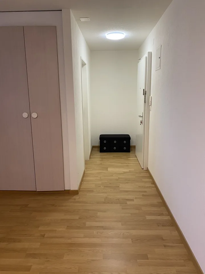 Helle 1.5-Zimmer- Wohnung mit grossem Balkon in ruhigen Lage