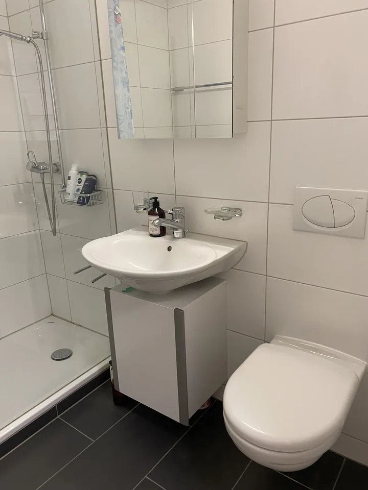 Helle 1.5-Zimmer- Wohnung mit grossem Balkon in ruhigen Lage