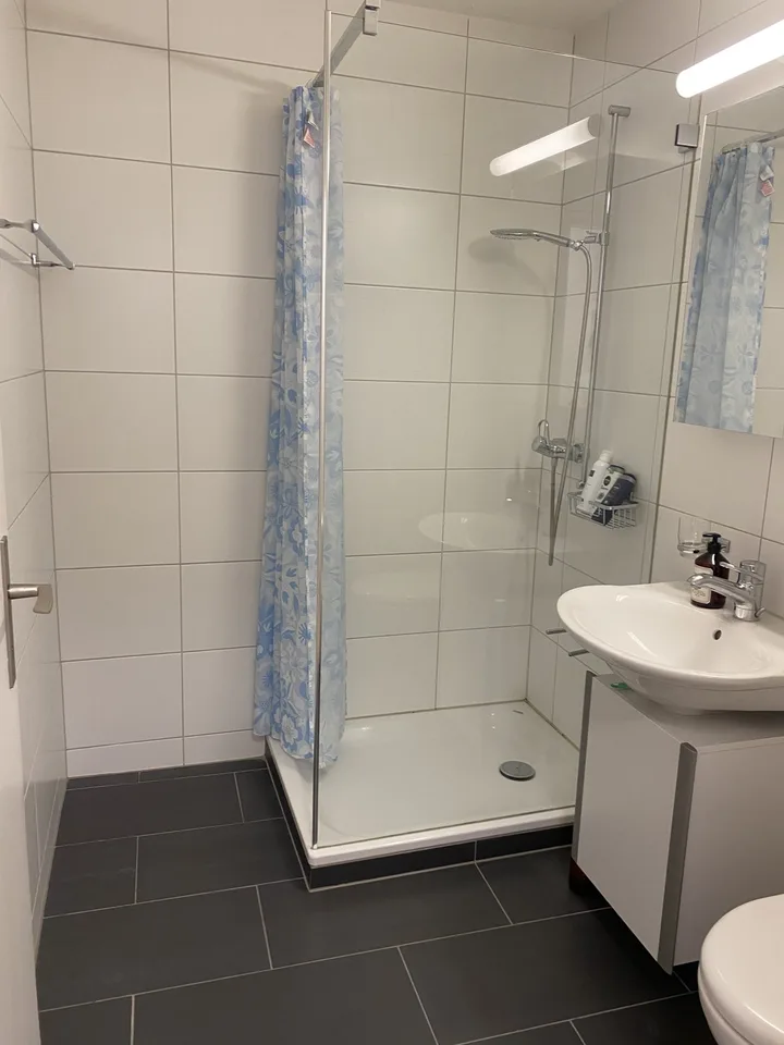 Helle 1.5-Zimmer- Wohnung mit grossem Balkon in ruhigen Lage