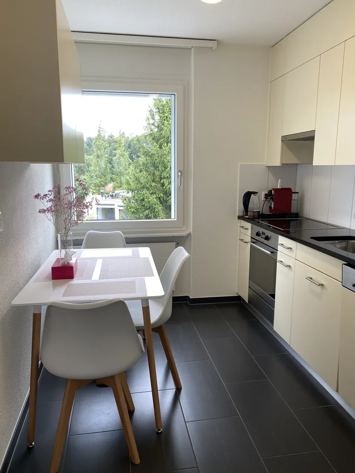 Helle 1.5-Zimmer- Wohnung mit grossem Balkon in ruhigen Lage