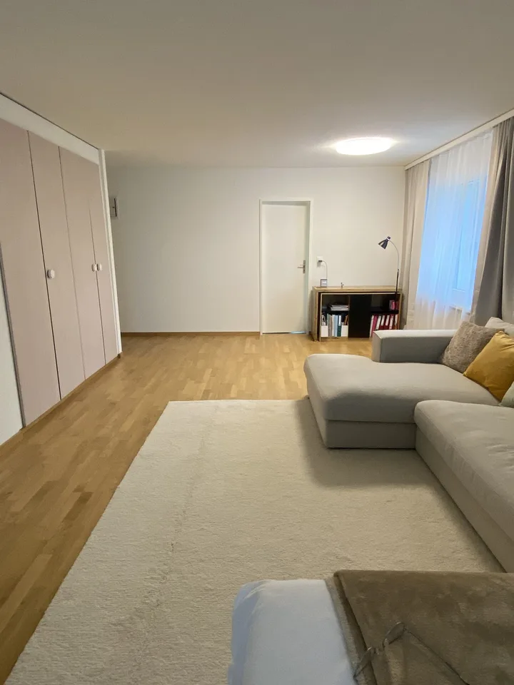 Helle 1.5-Zimmer- Wohnung mit grossem Balkon in ruhigen Lage