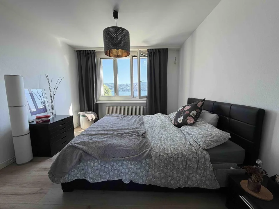 Attikawohnung mit 180 Grad toller See- und Fernsicht in die Berge in Oberrieden - 4.5 Zimmer