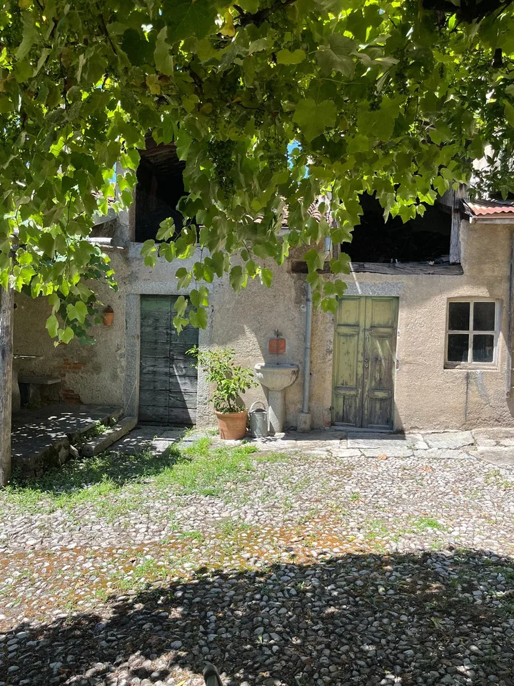 Room in shared House
