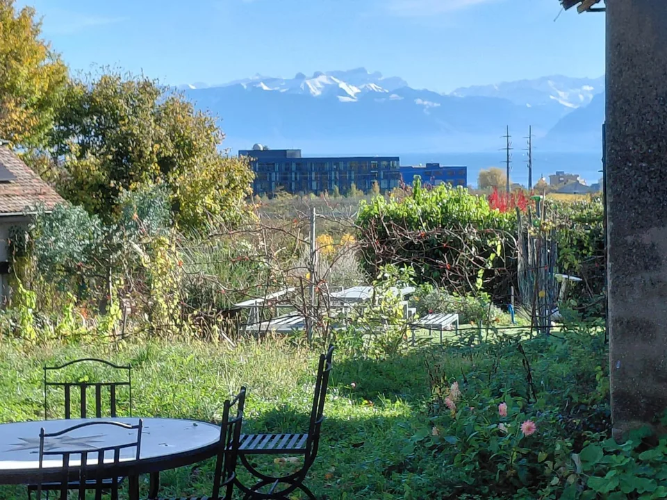 Chambre privative de 40 m² dans une colocation d'exception de deux maisons à Chigny sur Morges