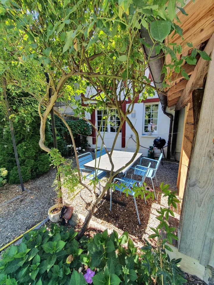 Charmante 2 Zimmer - Wohnung mit Cheminee Sitzplatz und Terasse