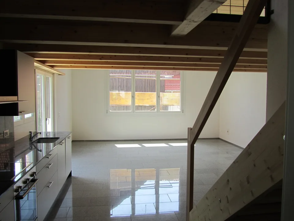 Loft Wohnung in Lanzenneunforn
