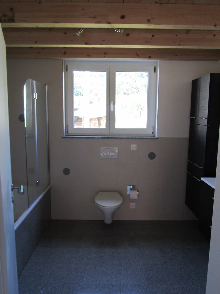 Loft Wohnung in Lanzenneunforn