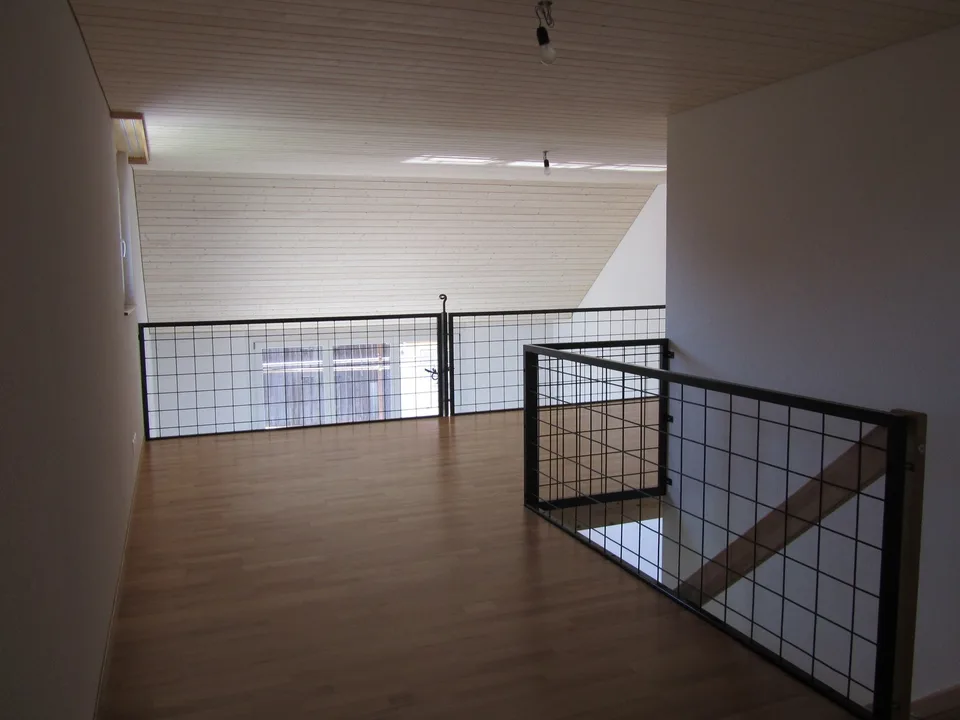Loft Wohnung in Lanzenneunforn
