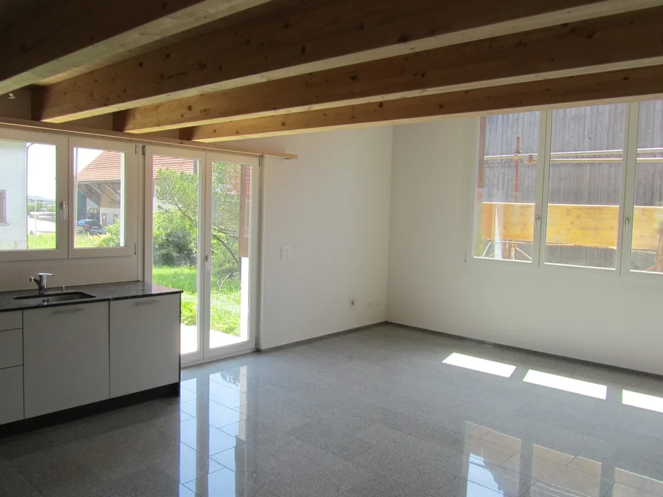 Loft Wohnung in Lanzenneunforn