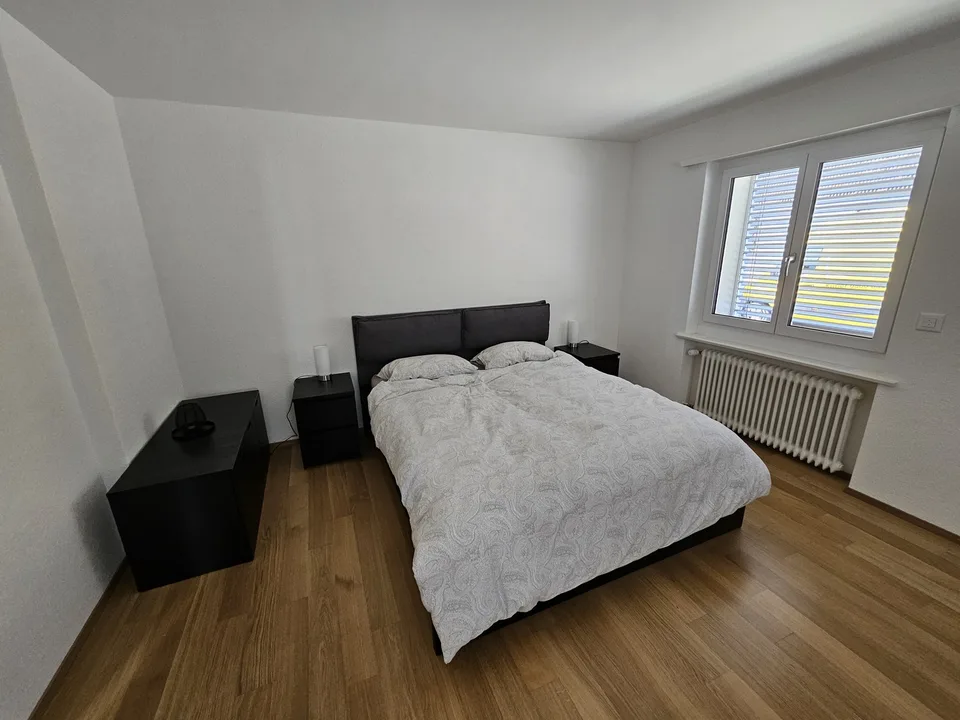 Beautiful apartment with lake view