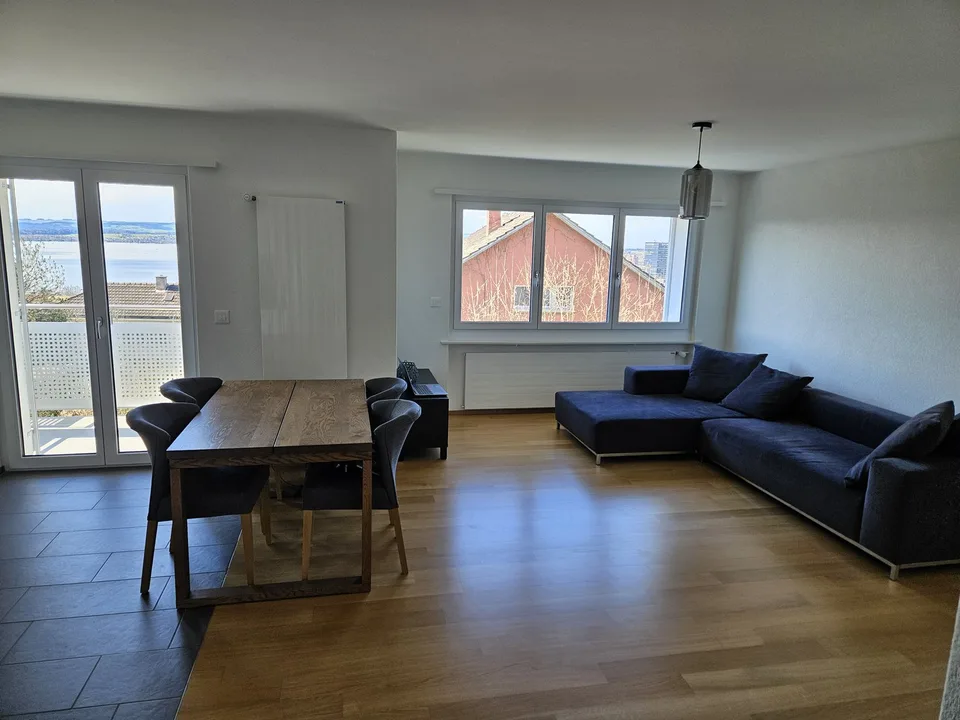 Beautiful apartment with lake view