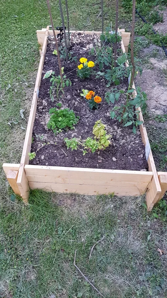 Chambre meublée dans une grande villa avec jardin et potager