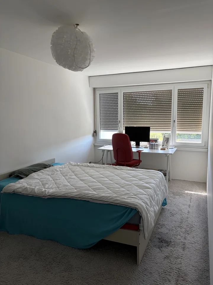 Bright 2.5-room apartment with sunny balcony and modern kitchen in Effretikon