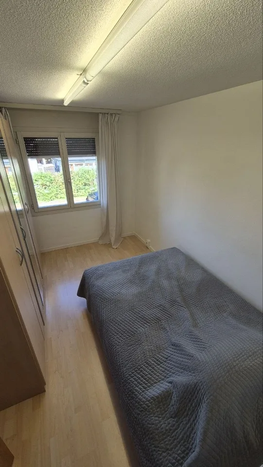WG-Zimmer mit eigenem Bad in Berikon – viel Platz