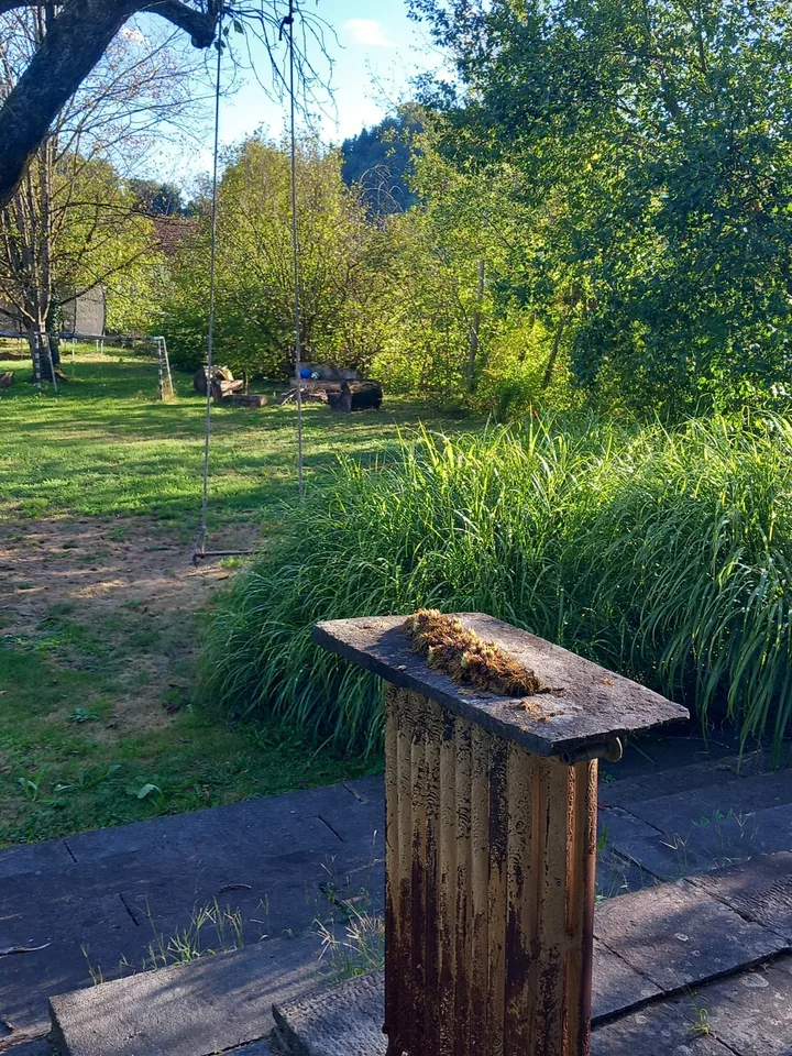 Wohnen am Flüsschen