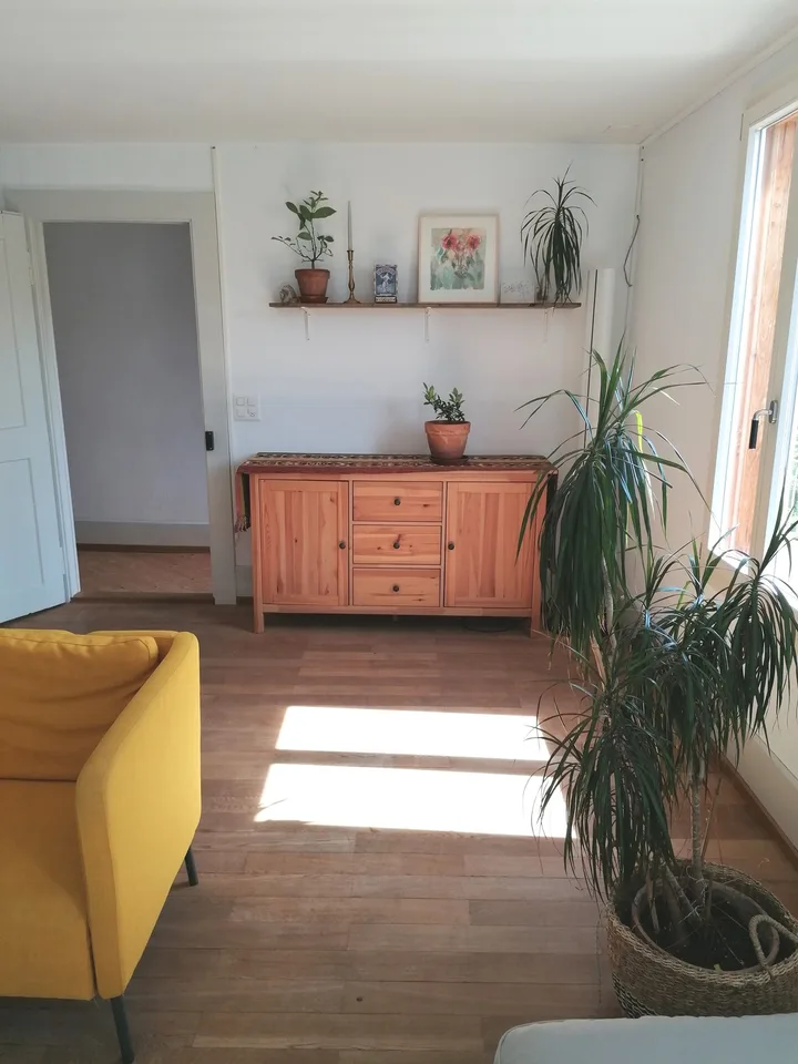 Charmant appartement de 5,5 pièces dans un immeuble ancien à Erlach, temps limité