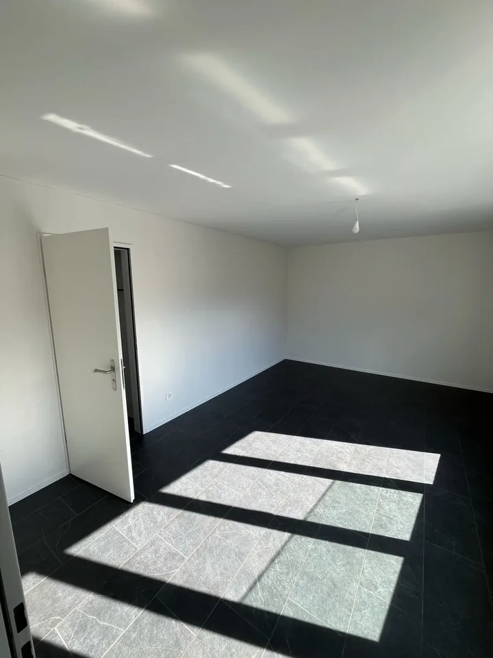 Moderne 4.5 Zimmer Wohnung in zentraler Lage