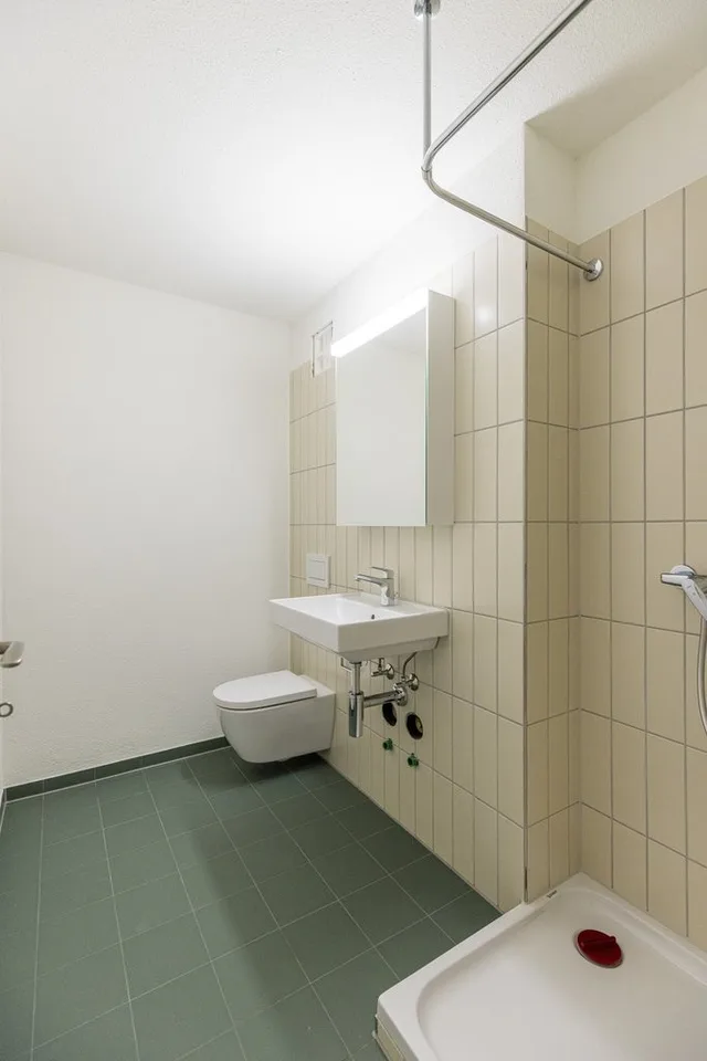 MIETEN OHNE KAUTION - neu sanierte Wohnung im Grünen