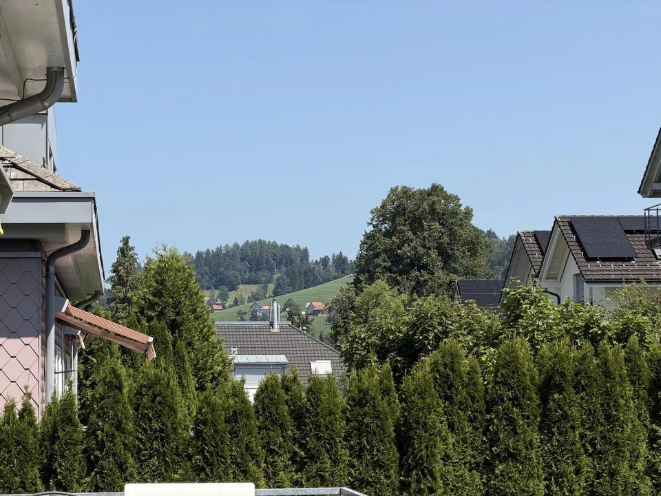Grosszügige renovierte 4,5-Zimmer-Wohnung mit 2 Balkonen