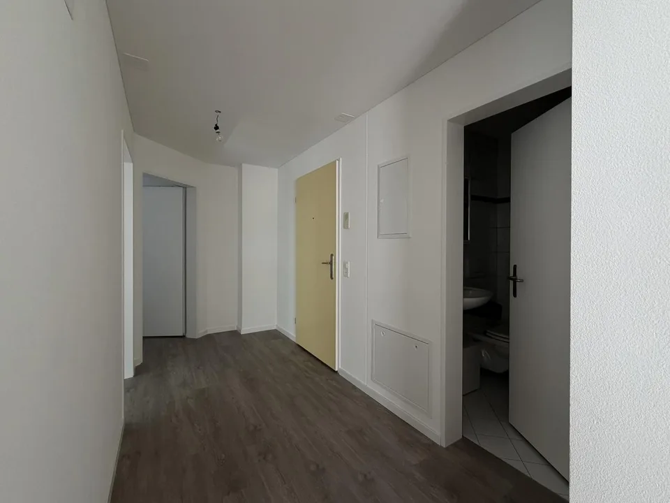 Grosszügige renovierte 4,5-Zimmer-Wohnung mit 2 Balkonen