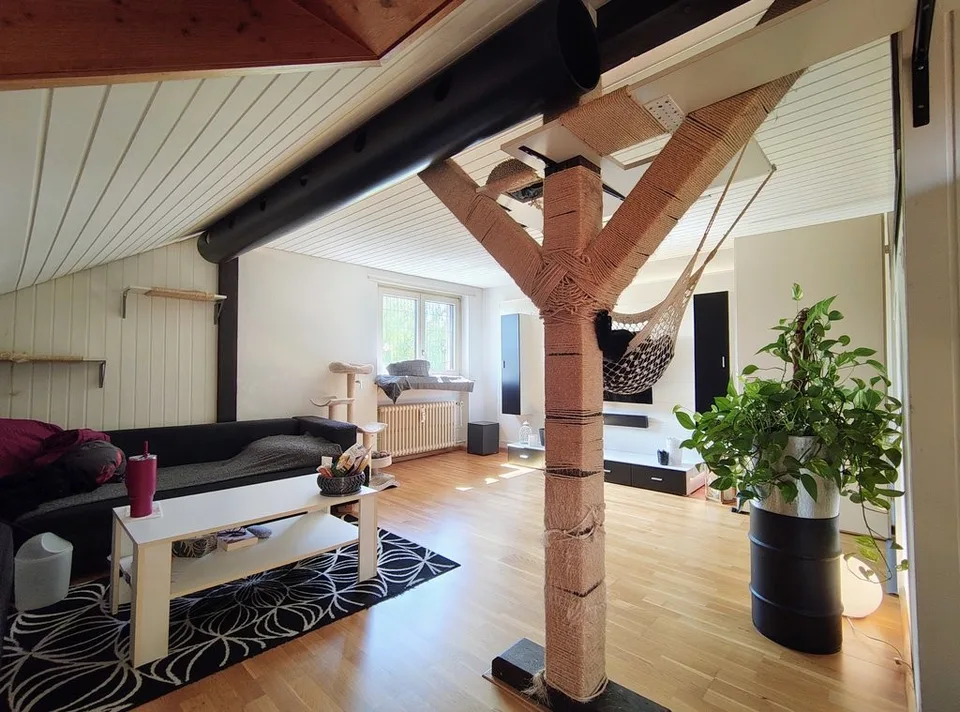Schöne, helle 1-Zimmer Mansarde in Birsfelden