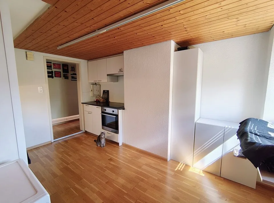 Schöne, helle 1-Zimmer Mansarde in Birsfelden